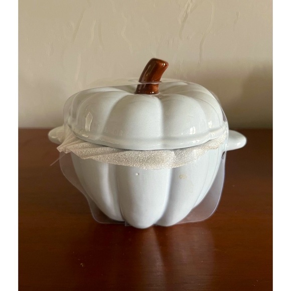 stir Other - 💙Light Baby Blue Festive Fall Thanksgiving Pumpkin Ceramic Casserole Cocotte💙